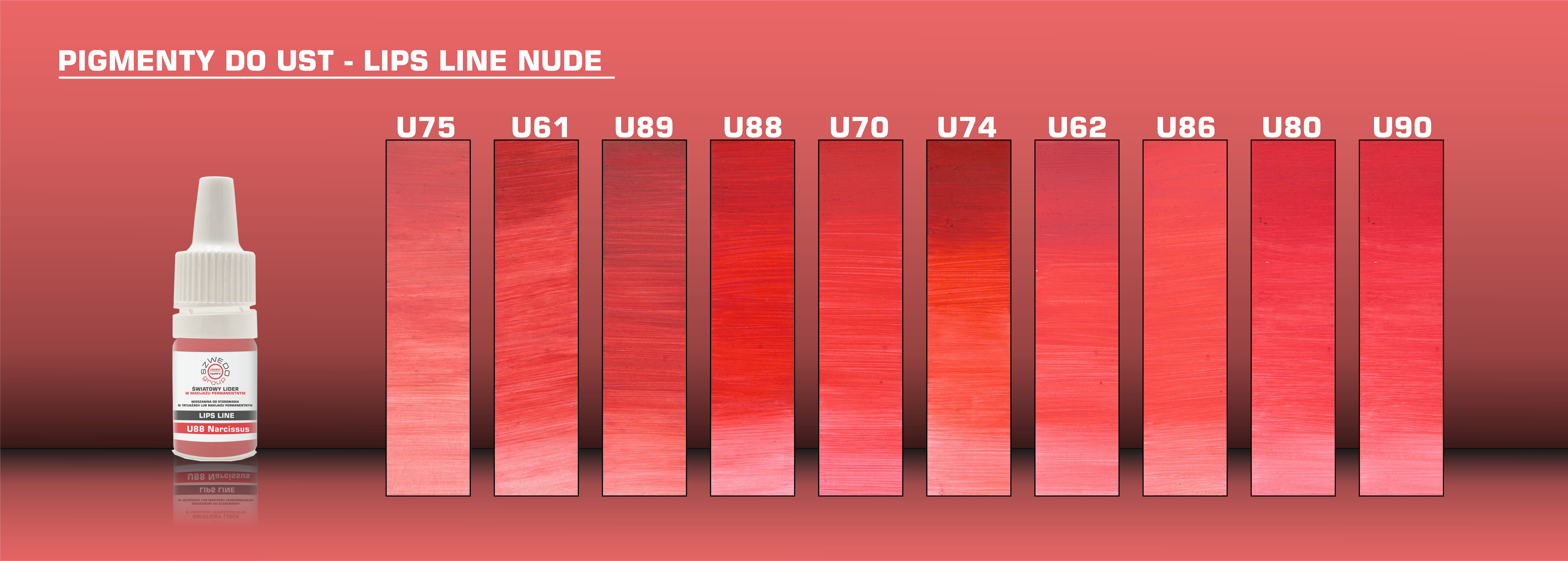 pigmenty do makijażu permanentnego