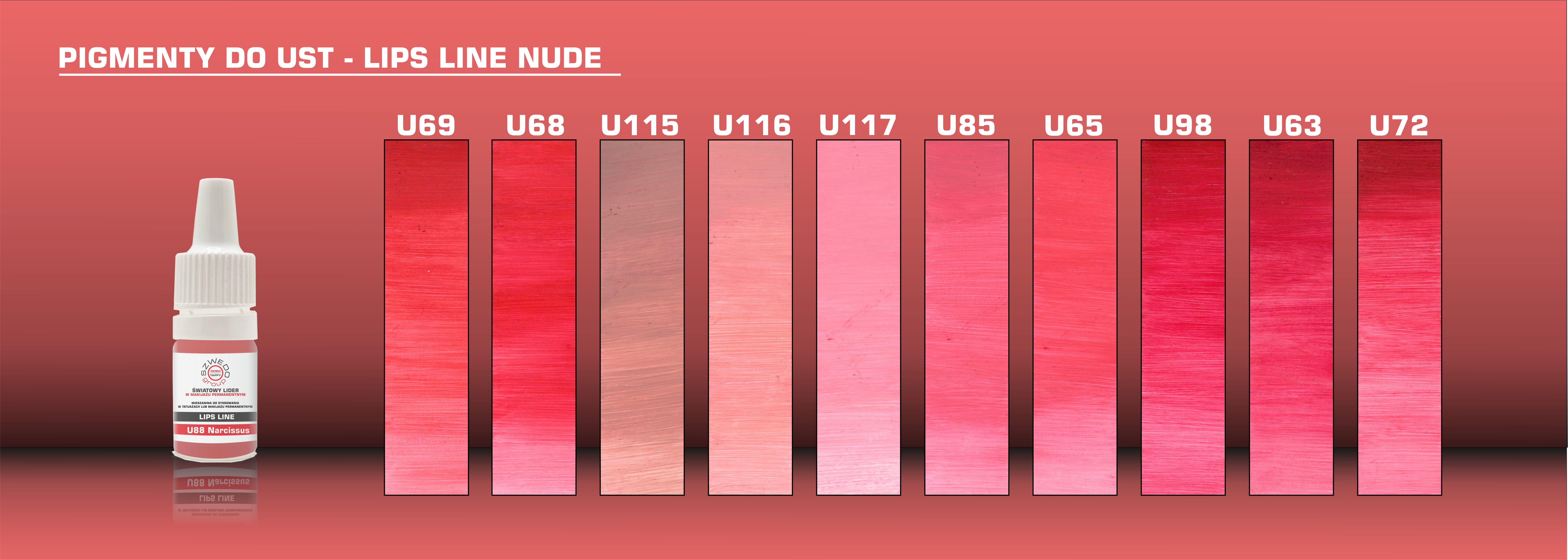 pigmenty do makijażu permanentnego